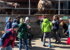 Erlebnis Bauernhof 2025