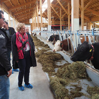 Mittelschwäbische Landwirtschaft 400x400